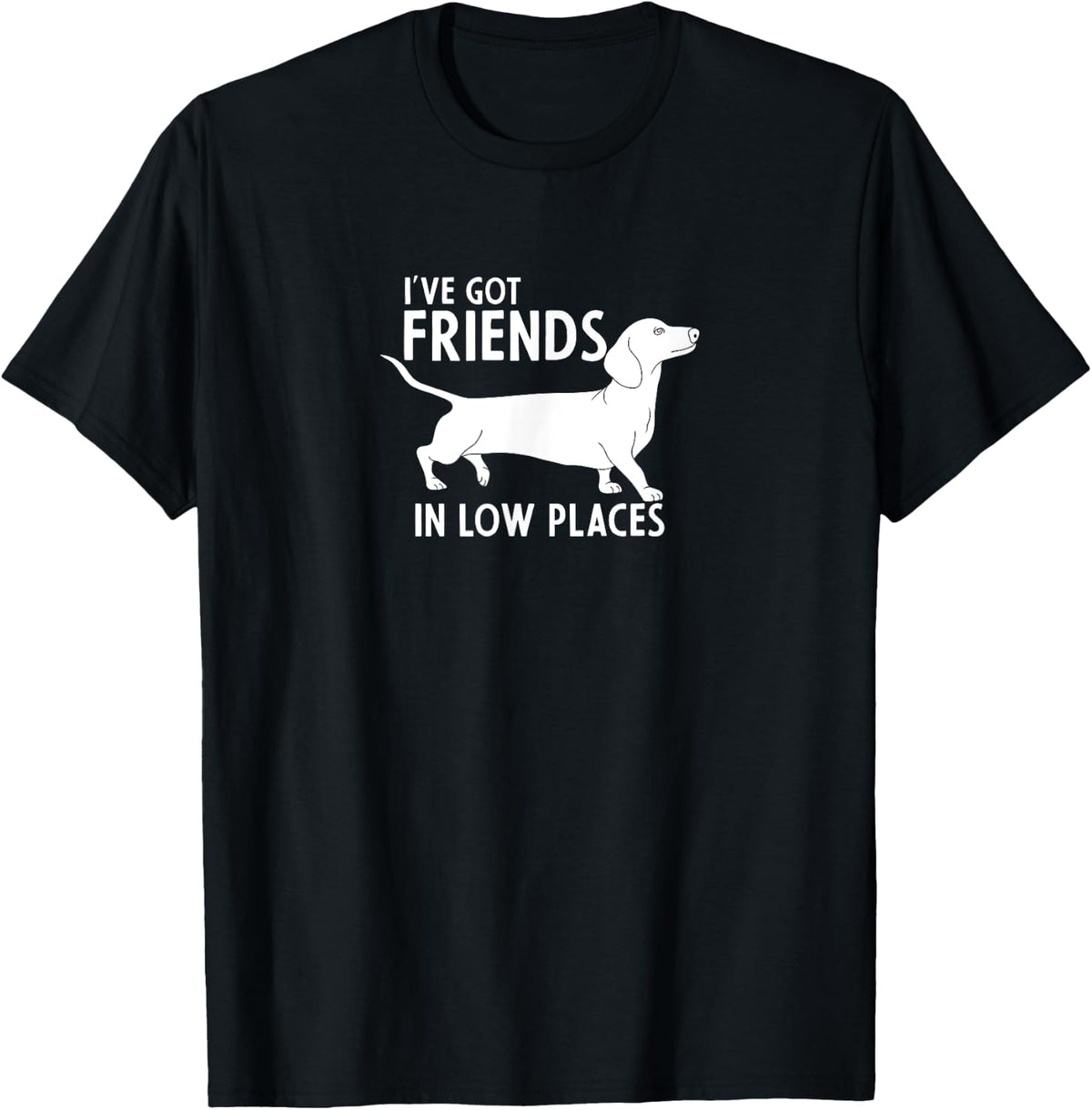Dachshund I've Got Friends in Low Places Cute Dog Lover Apparel | US Viral Pick | High CTR Boost